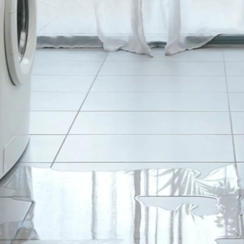 Appliance Leak Cleanup in Parsons, WV