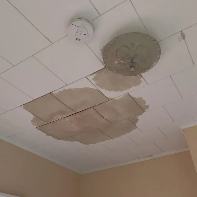 Ceiling Water Damage Repair in Parsons, WV