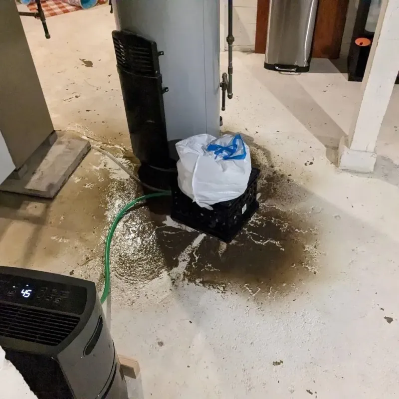 Sewage Backup Cleanup Service in Parsons, WV